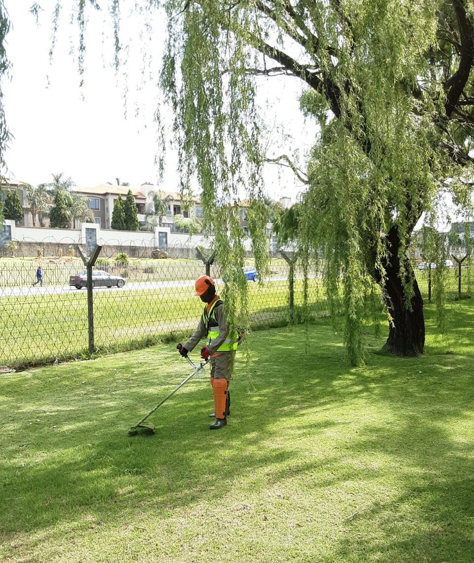 grass cutting