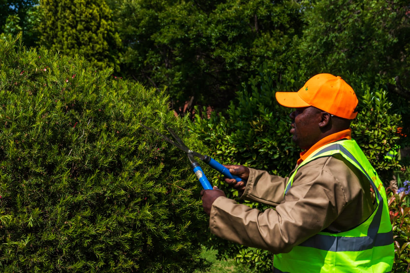 advancedcare solutions garden service